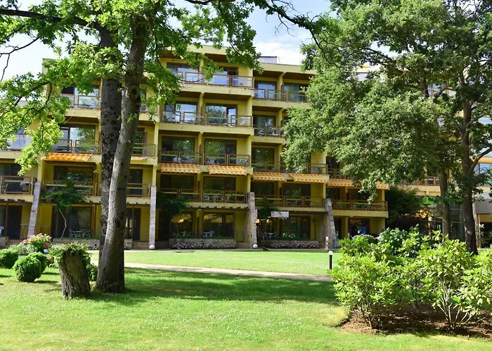 Les Magnolias プリモルスコ