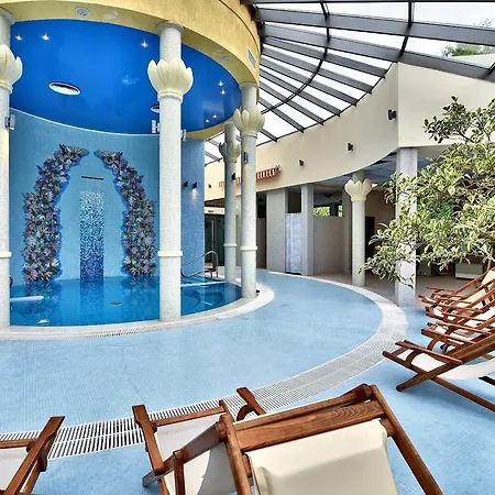 магнолиите Приморско